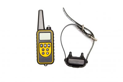 Electric Pet Fence Repair