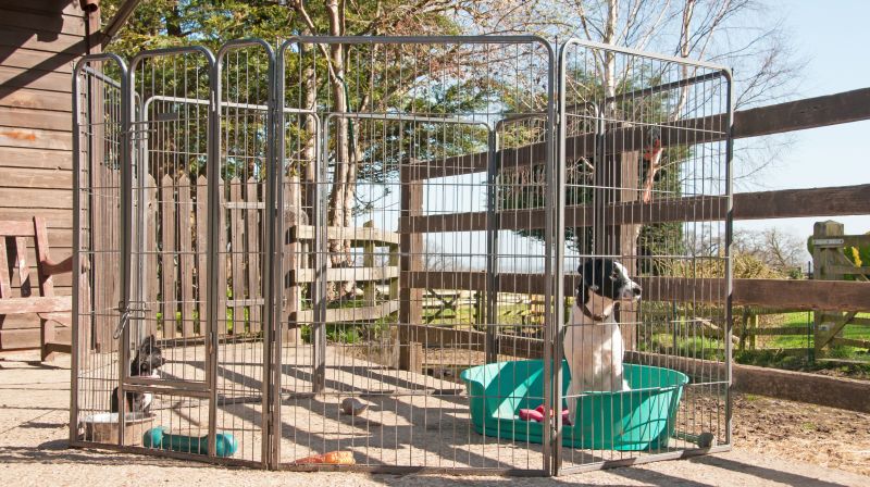Electric Pet Fence Repair